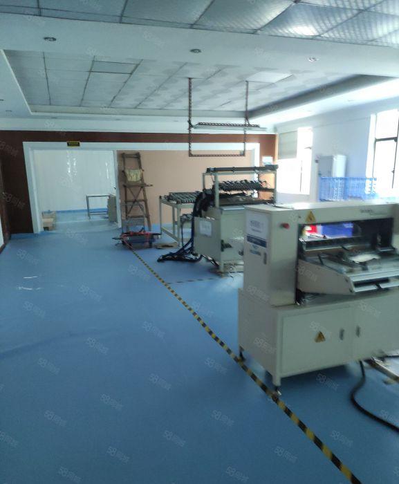 万江独院1000平方出租，带装修