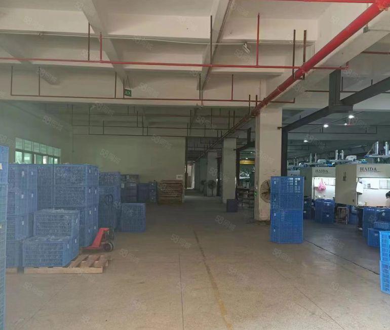 原房东独栋面积实量国有证花园式标准厂房三层带丙二消防，有环评