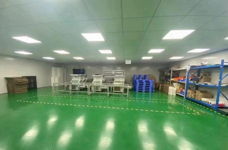 10元可谈万江原房东独院厂房1000平豪华装修无尘车间可分租