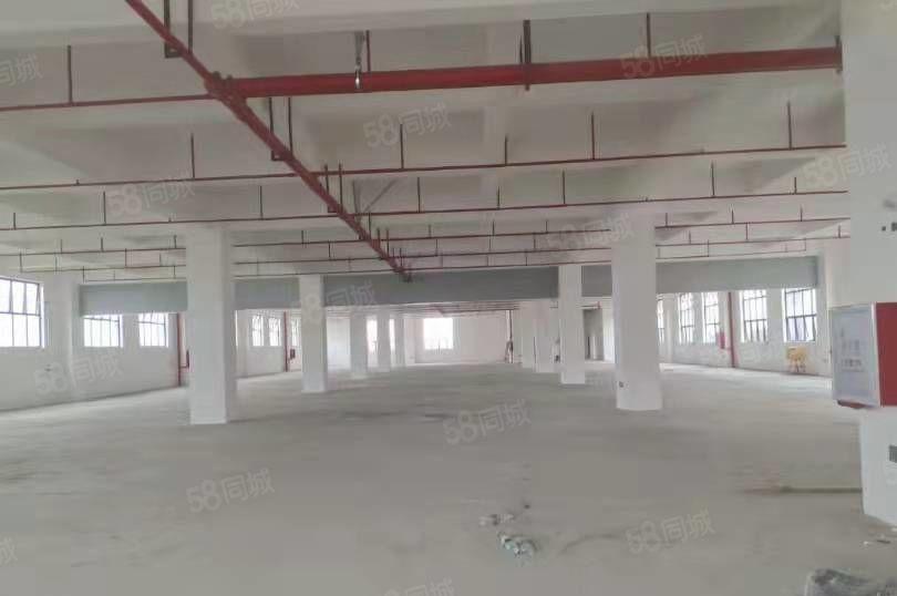 万江高新产业园工业用地红本厂房丙二类消防能办环评