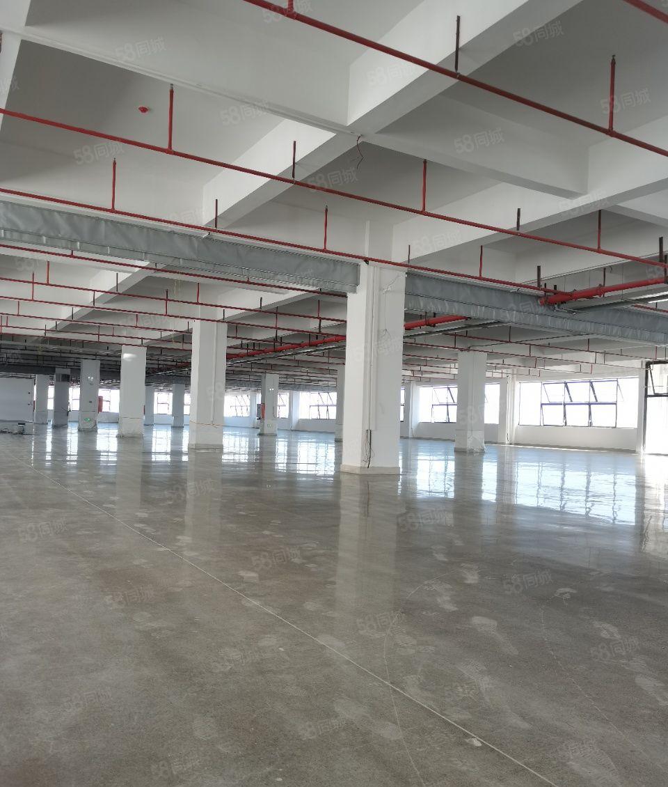 高新智能科技孵化园！智能，研发，科研，医药，无人机研发基地！