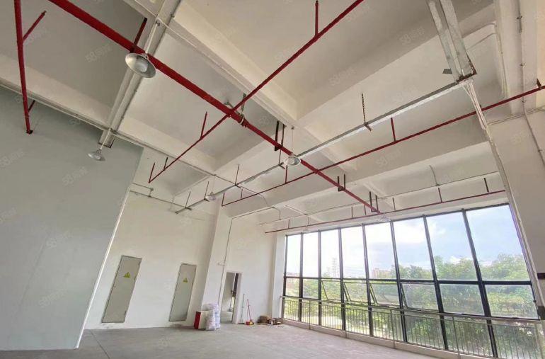 东莞市万江独院厂房出租，全新独院厂房出租，红本双证齐全。