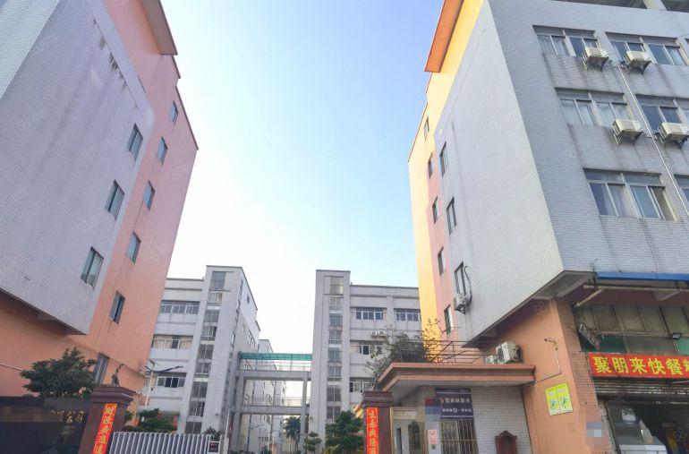 万江107国道边出租一手房东自建标准厂房，全新，一楼6.5米