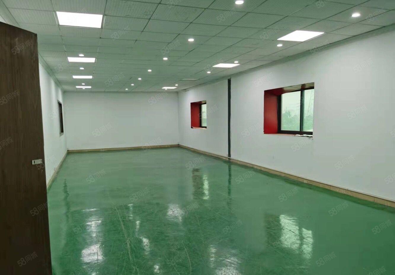 万江原房东独院标准厂房一二楼低价出租，可分租单一层