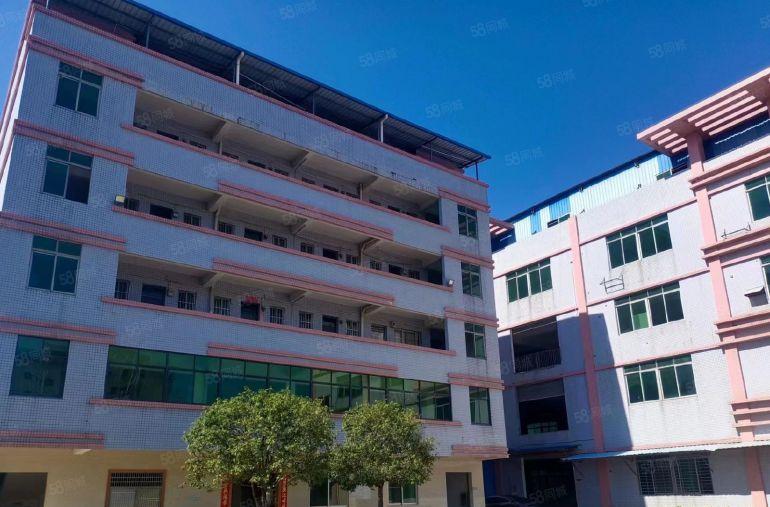 实际面积，标准厂房2层3000平方，可分租，可分租，可分租