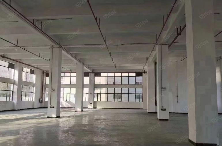 万江区新和独院厂房出租1500平方.空地大价格便宜