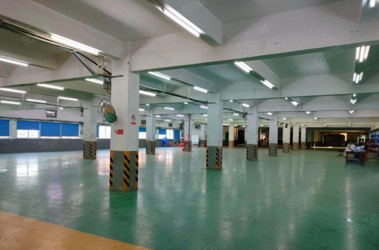 万江环城路以外原房东独栋标准厂房出租，带现成装修，交通便利