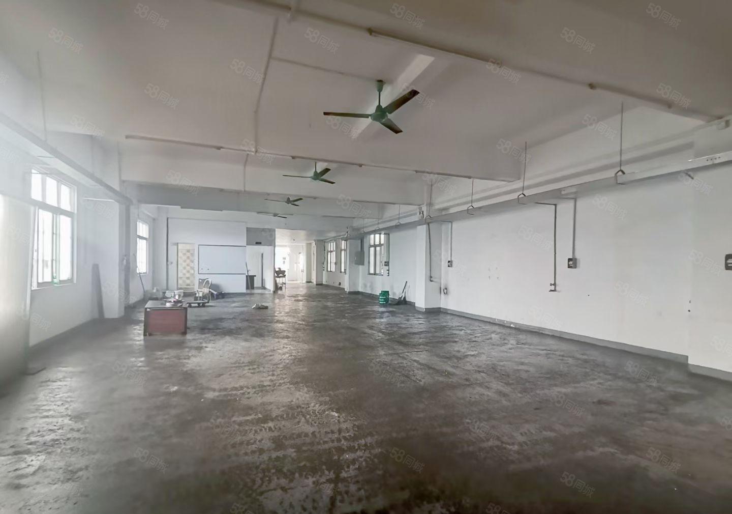 万江莫屋新出标准一楼200平方厂房。门口空地超大