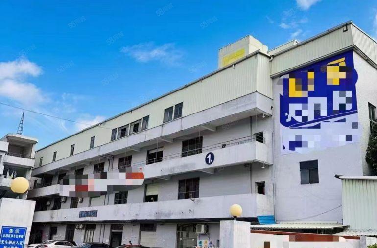 万江独院全新地坪漆1250平8.8元出租，空地大，交通好！