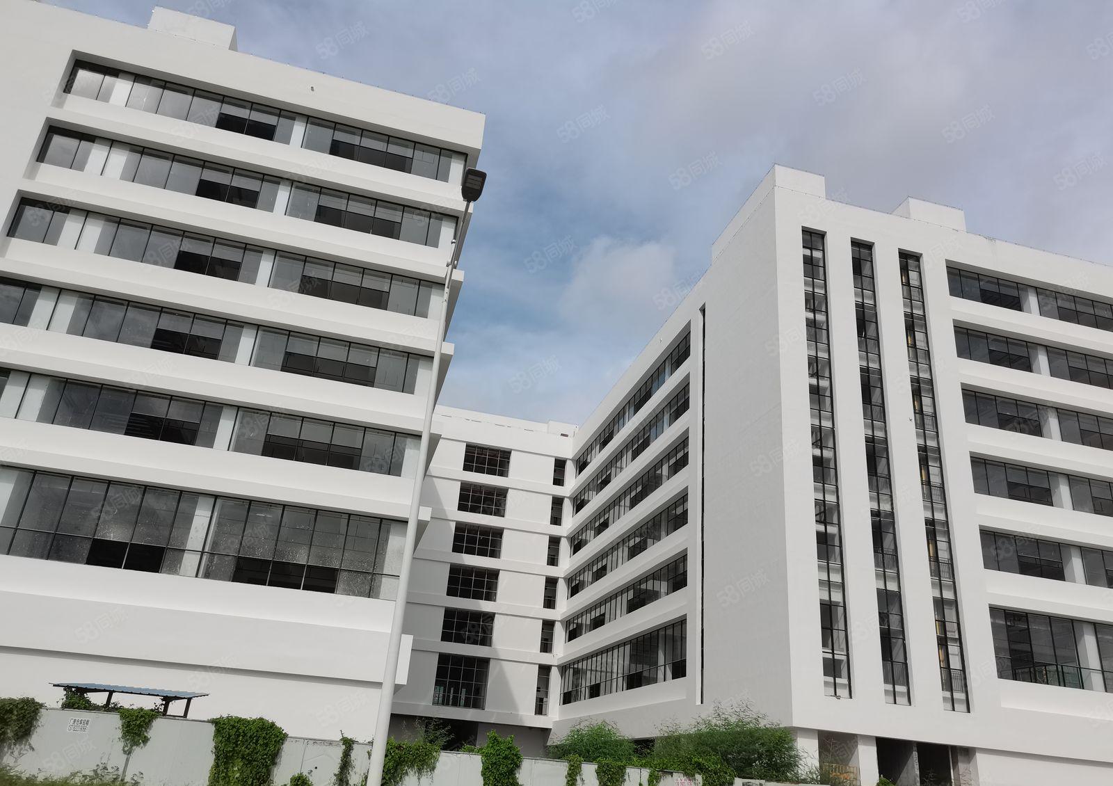 华智.万江新智汇全新厂房120000万平厂房出租(可分租）