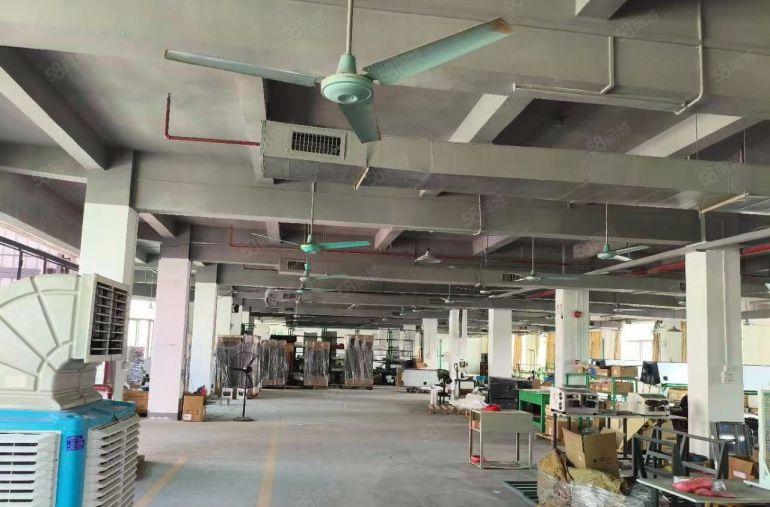 无公摊）8元）万江原房东园区分租2200平方4楼