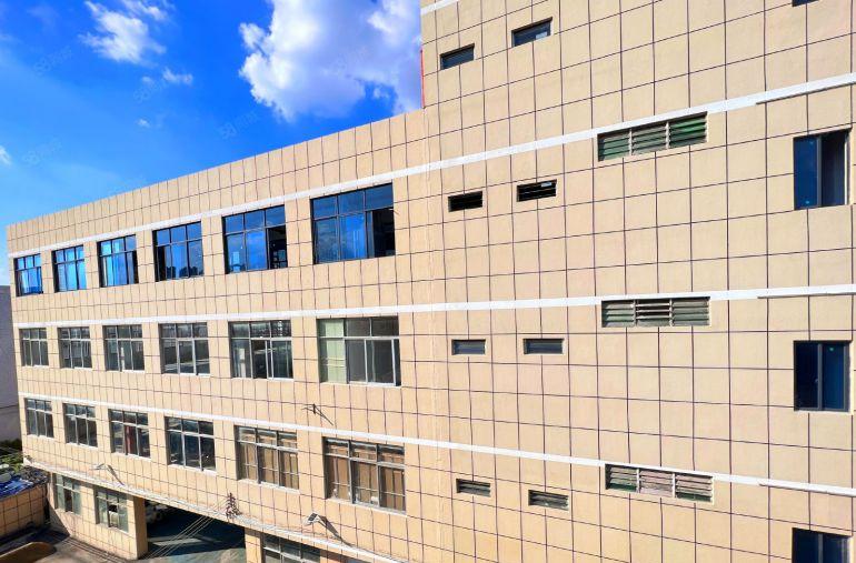 万江中心550平写字楼办公厂房带客货两梯，全新装修形象好