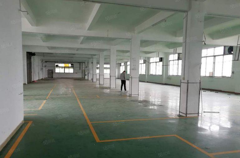 万江大汾二楼1000平方标准厂房出租有地坪漆和现成办公室