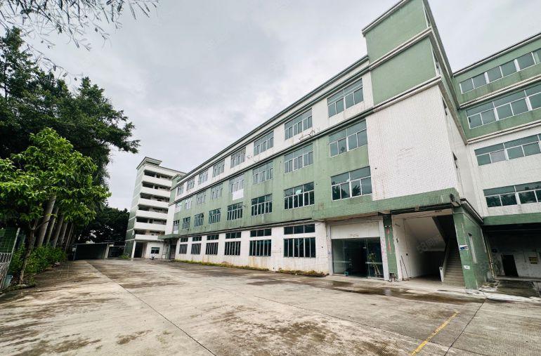 万江简沙洲一手房东厂房出租独门独院8200平有红本可办环评