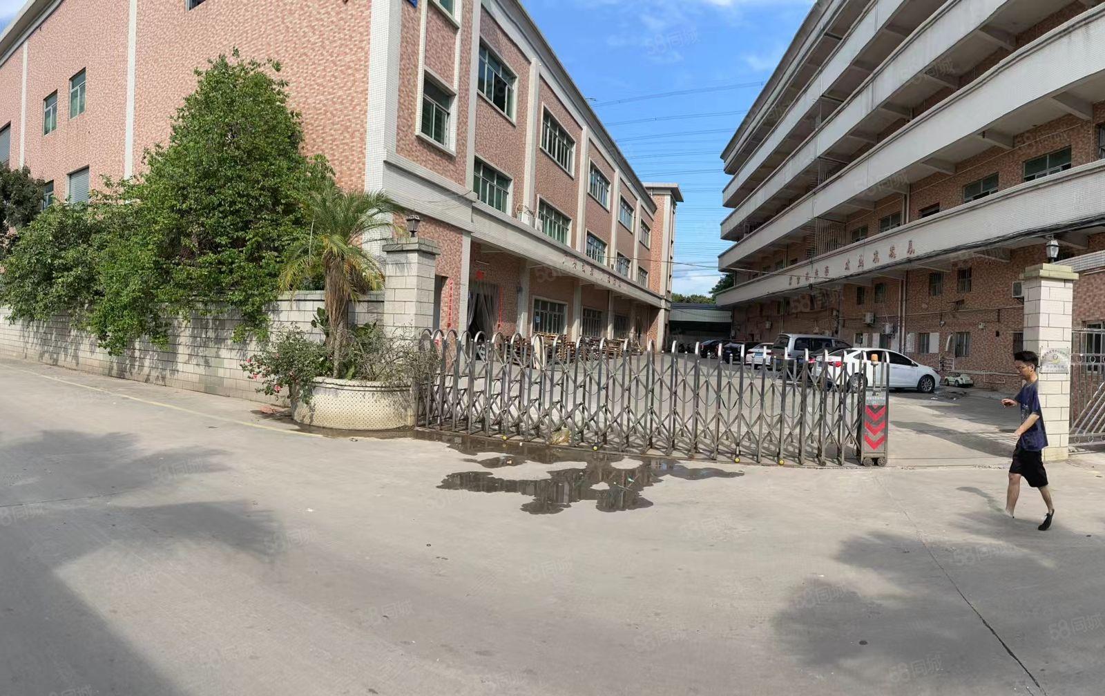 万江小享新出独门独院12300平方厂房出租