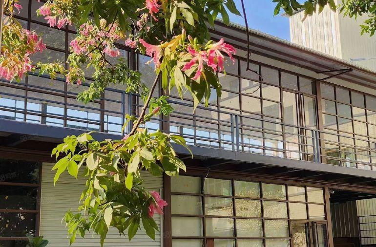 万江全新重工业标准独院厂房，原房东直租