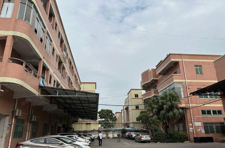 万江新村标准厂房2500平方带水电带装修办公室地坪漆一楼6米