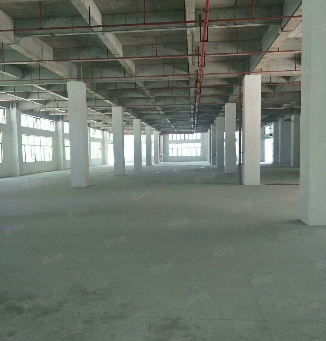 万江镇新空出标准工业园花园厂房2360平方厂房出租，易招工