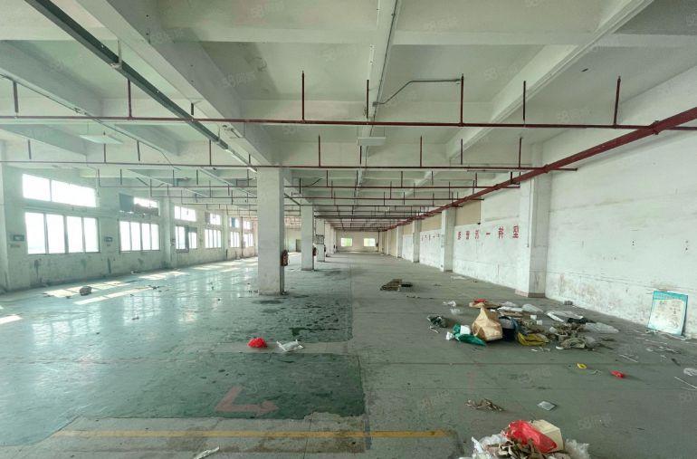 万江莫屋三楼1200平方厂房出租水电齐全现成办公室院子空地大