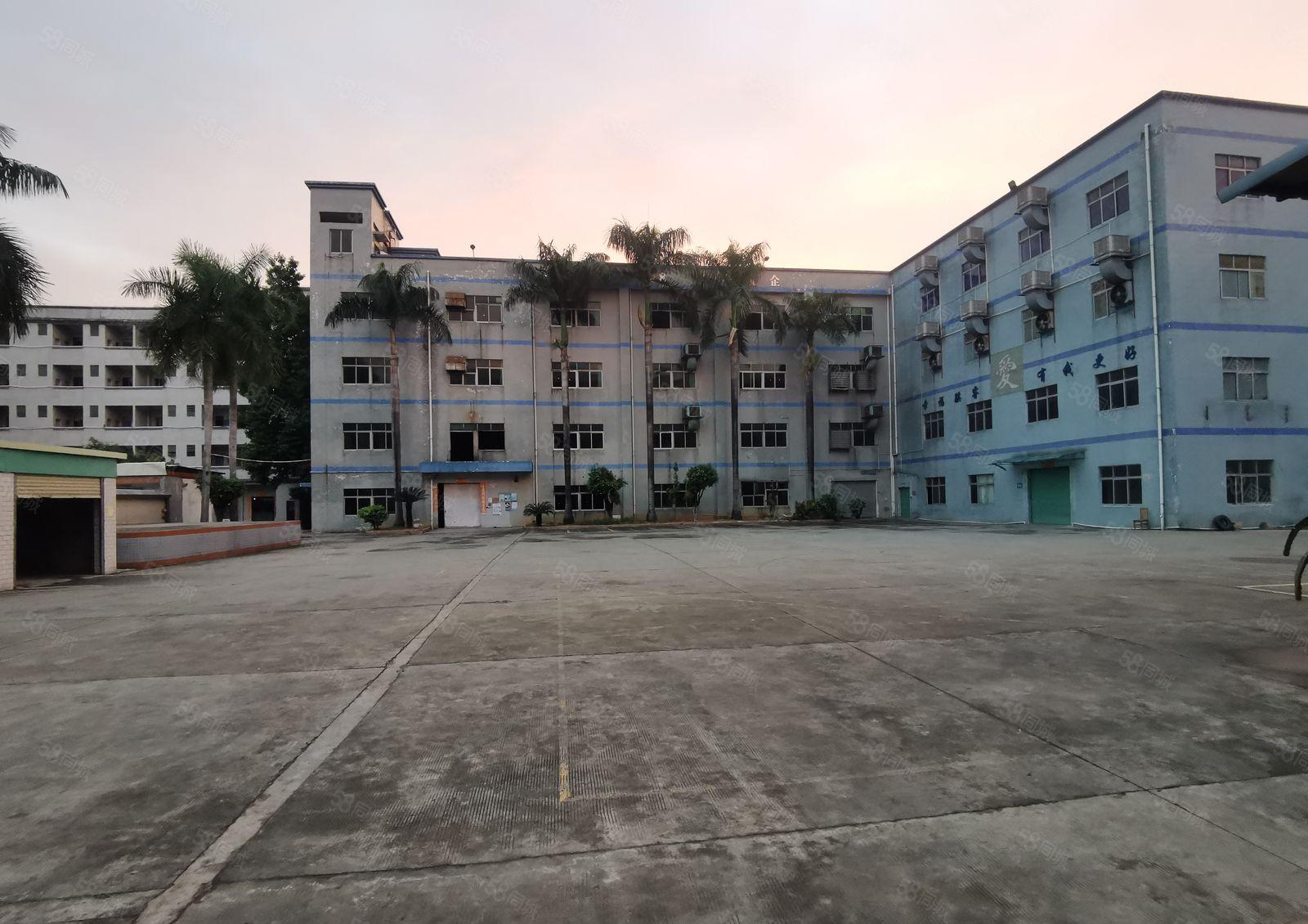 万江水蛇涌工业区新出独门独院标准厂房9835平方