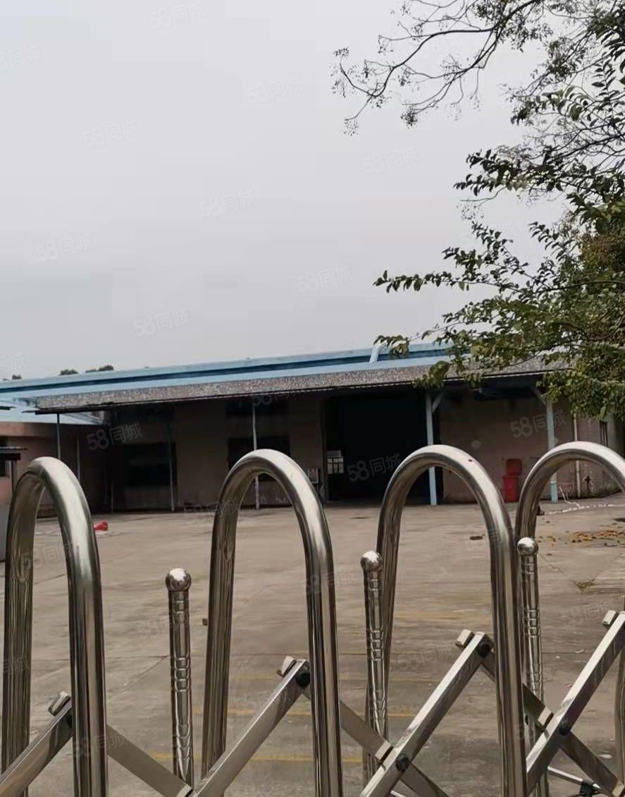 万江大汾工业区，独门独院单一层厂房出租