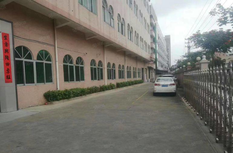 万江原房东独门独院厂房出租，无公摊面积厂房出租