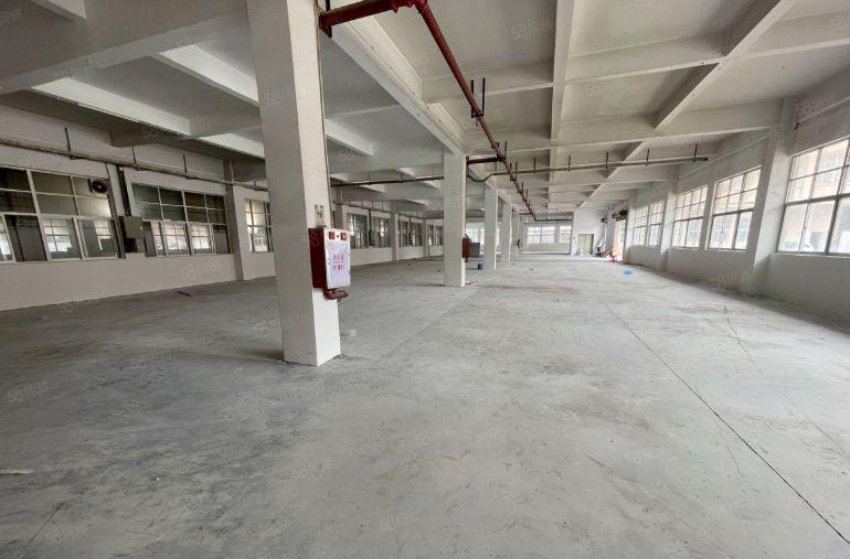 万江独院5700平方标准厂房出租形象好院子大配套齐全