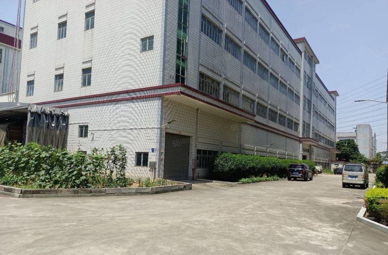 万江简装标准一楼500平方，800平方，1200平方招租