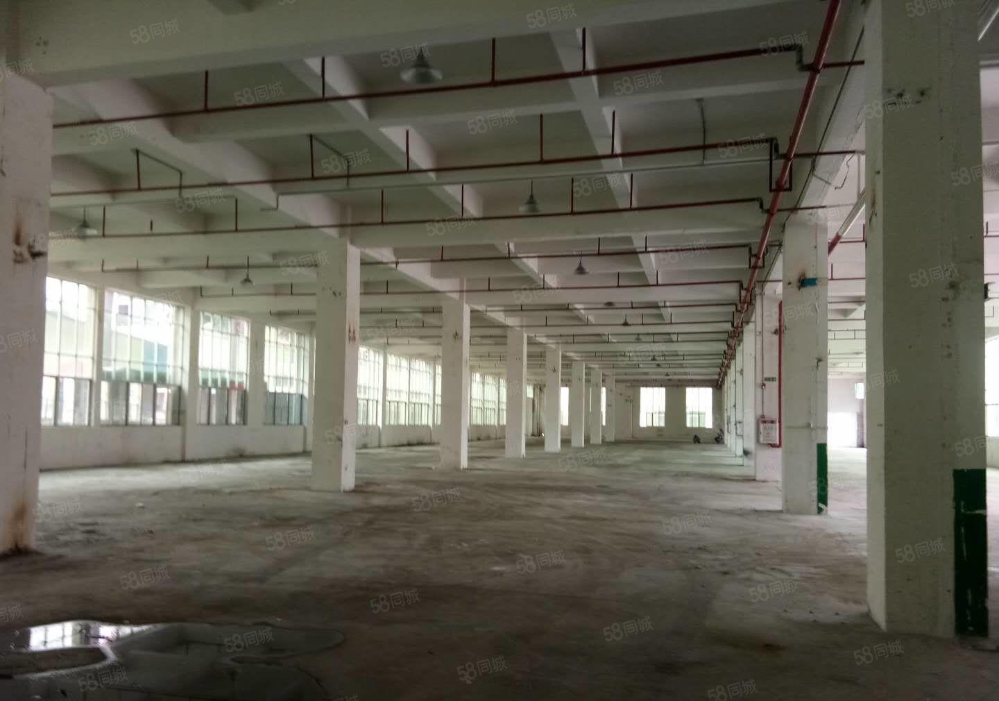 万江镇新空出标准工业园花园厂房2360平方厂房出租，易招工