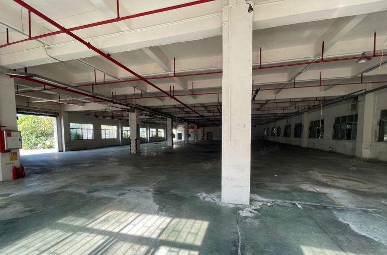 万江滘联原房东整栋5500平方标准厂房出租配套完善配电大