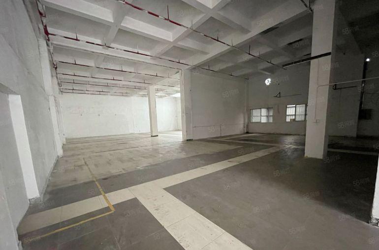 万江流涌尾一楼450平方标准厂房出租有喷淋消防水电齐全院子大