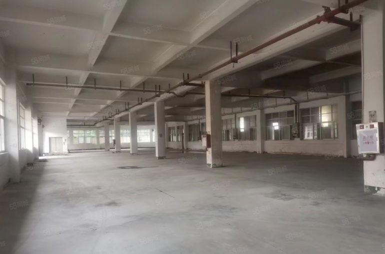 万江滘联独院厂房5700平原房东实际面积出租，价低，交通好！
