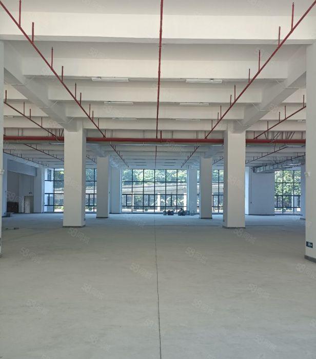 万江街道全新自建工业园区15万方，证件齐全！大小可分租！