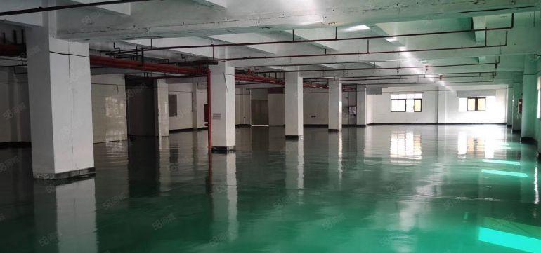 万江简沙洲4000平米原房东独院厂房低价出租