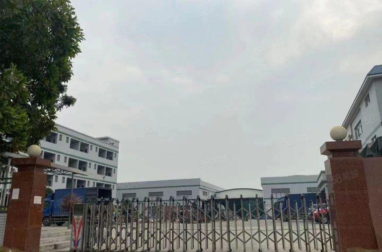 万江简沙洲港口大道旁原房东滴水8米单一层独院厂房出租