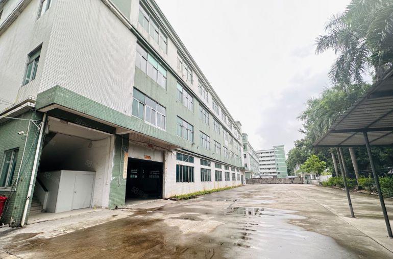 万江简沙洲一手房东厂房出租独门独院8200平有红本可办环评