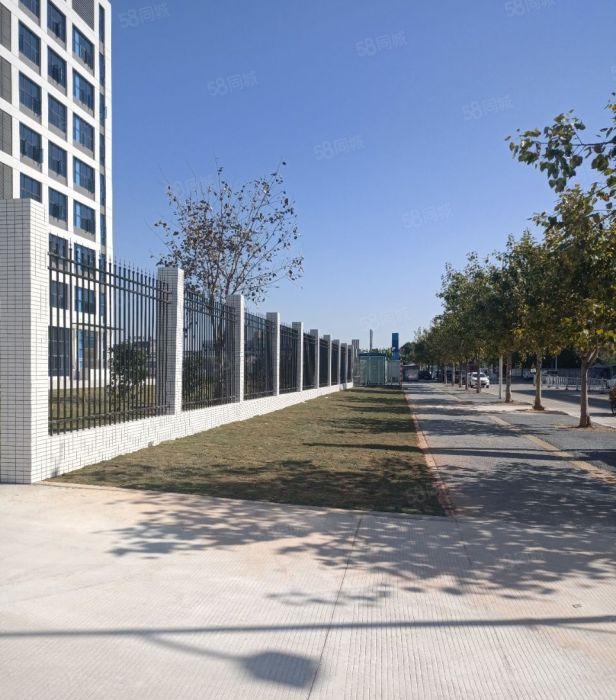 上市公司形象16万平新建厂房仓库，可分租，看上的老板赶紧电