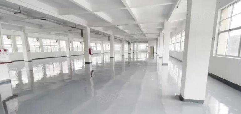 万江独院5700平方标准厂房出租形象好院子大配套齐全