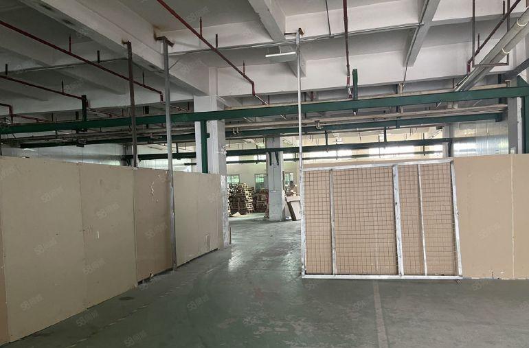 万江莫屋全新厂房一楼800平出租