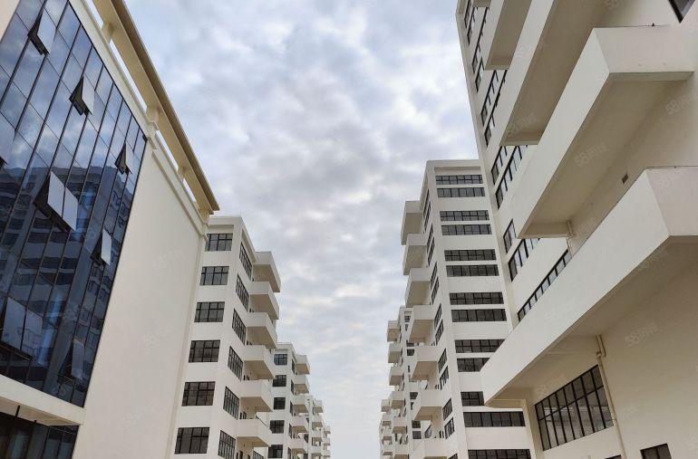 万江政府项目 中创汇智盈科技园 全新高标厂房可环评 990