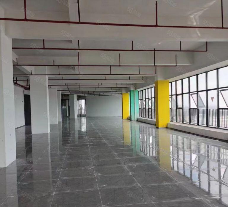 万江新出小独院厂房出租，可整租可分租