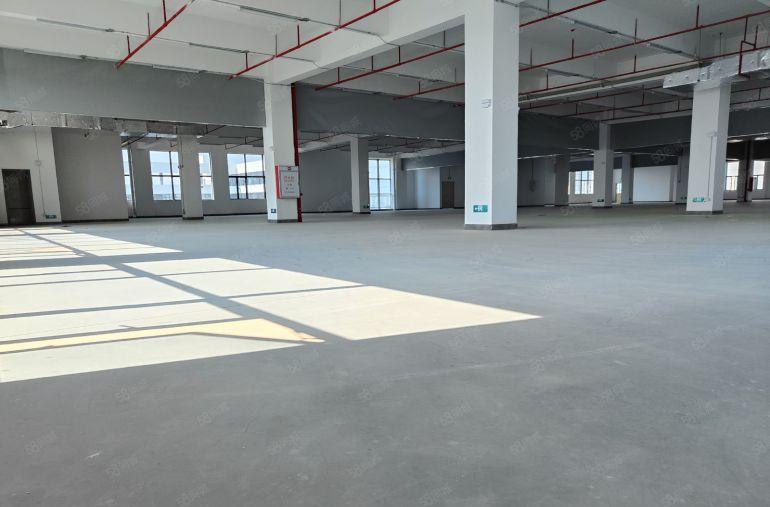 万江环城路外原房东独门独户标准厂房急租，证件齐全，环评秒过