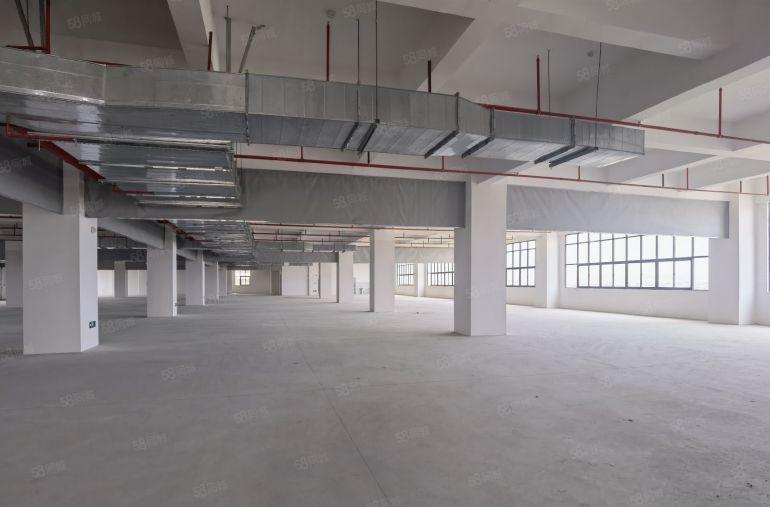 万江107国道边出租一手房东自建标准厂房，全新，一楼6.5米