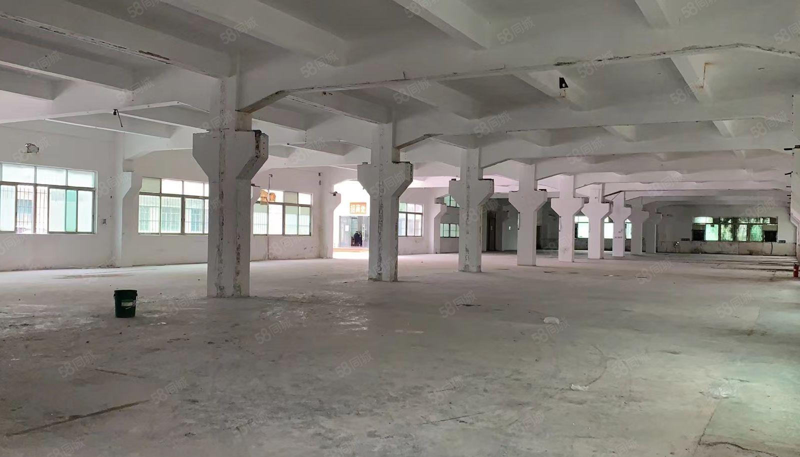 万江滘联高新产业园总面积9180方水电齐全带精装修办公室