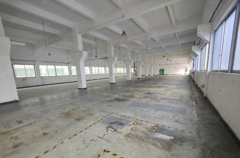 樟木头镇本地一手房东独院厂房出租5000平方工业用地注塑环评