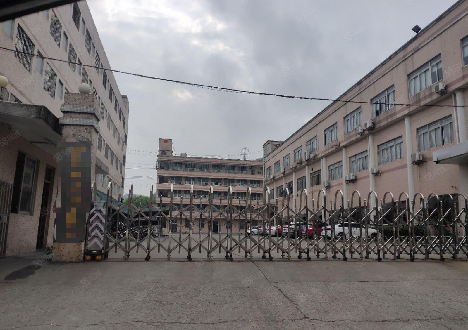 樟木头（原房东）独院厂房出租