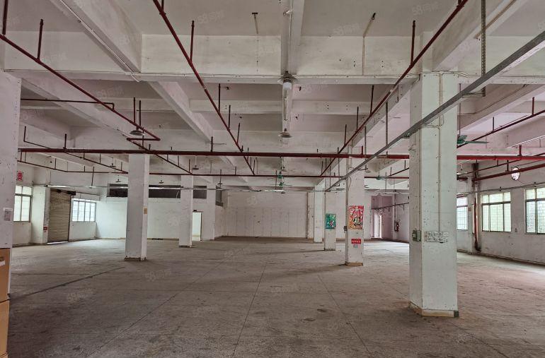 樟木头标准独院国有证消防证一楼5米水电齐全交通方便价格便宜