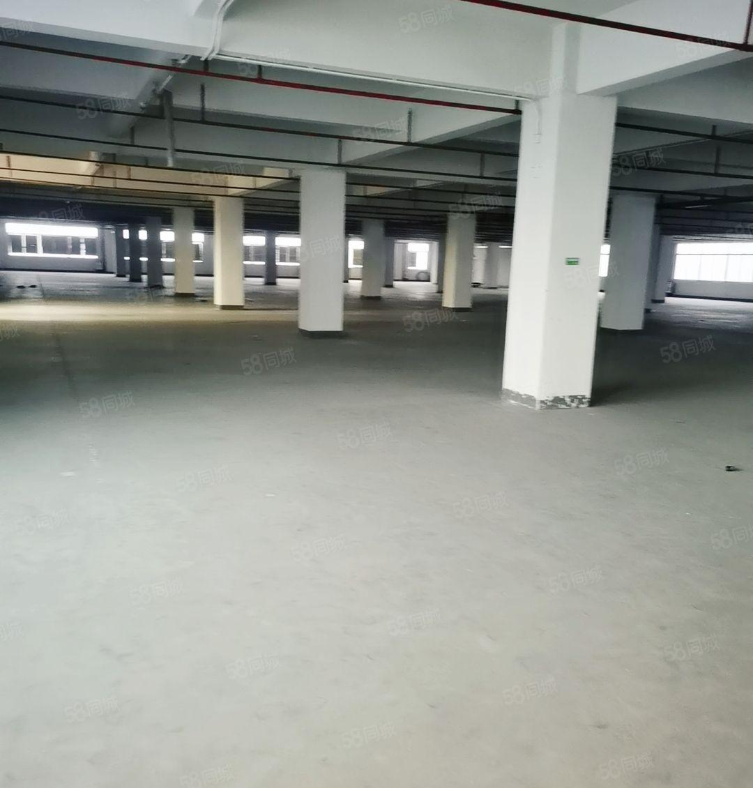 东莞樟木头原房东厂房出租1500平米无公摊园区形象佳空地大