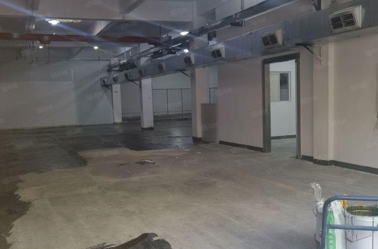 （原房东带环评）樟木头一楼厂房出租1000平方，无公摊水电齐