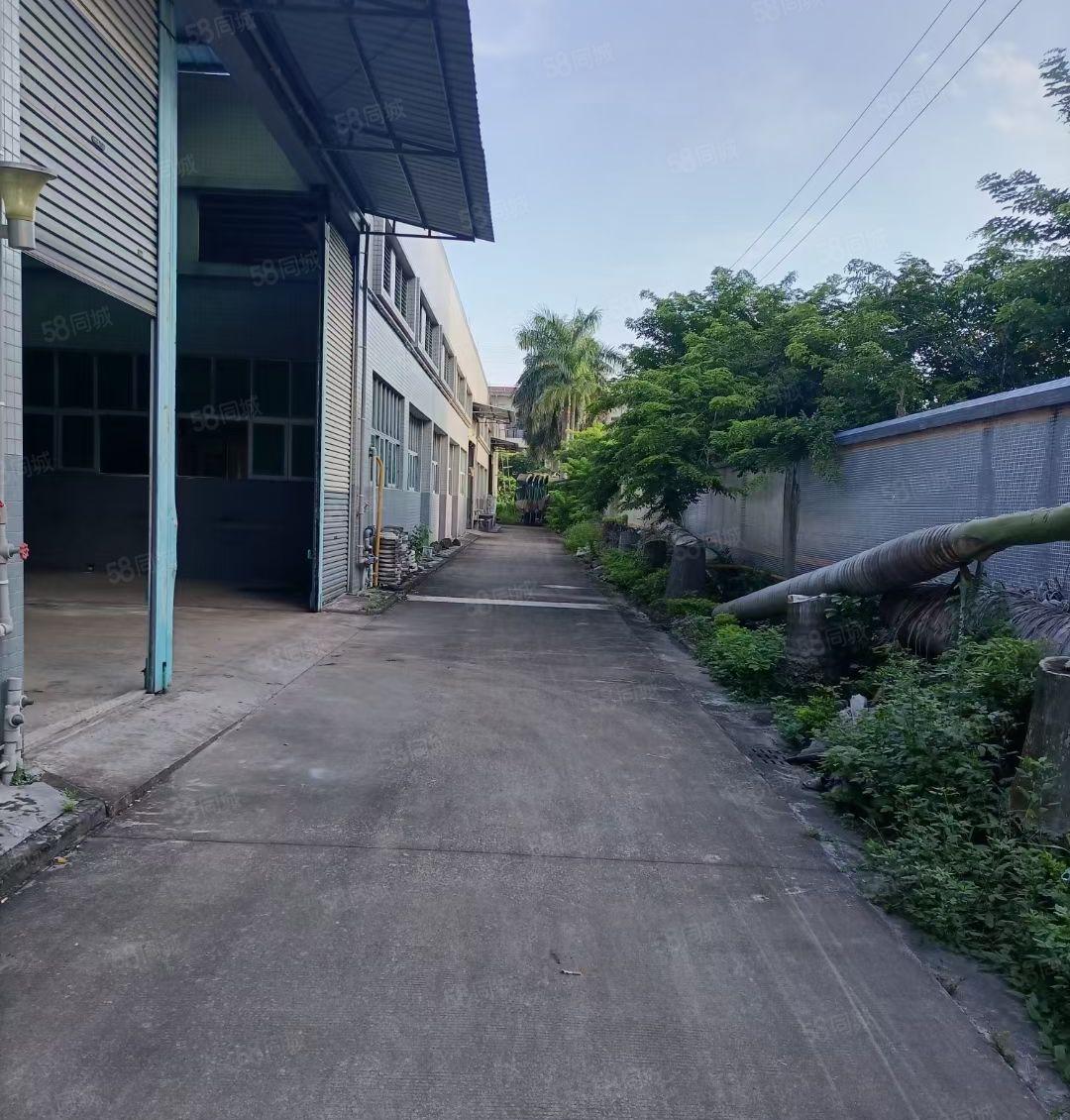 樟木头工业区新出4000平砖墙到顶钢结构厂房，可以分租